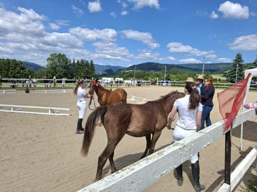 02791b4b-63a5-4e63-acfd-4a29d8329d35